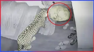 WEIRD THINGS CAUGHT ON SECURITY CAMERAS! 😱😂