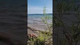 Море море / Природа 