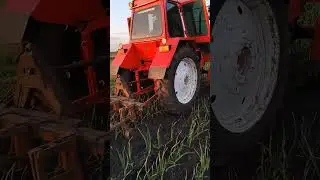 Сельский тракторист. #shortsvideo#farming#traktor