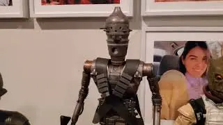 Hot Toys & Black Series