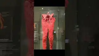 Body Worlds Museum Amsterdam 