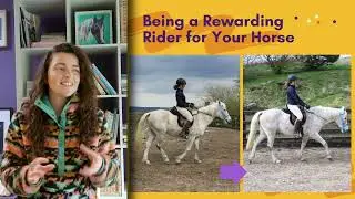 Ridden Aids and Cues with Positive Reinforcement - What Are Your Options?