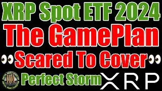 XRP Spot ETF 2024 , Ripple CEO Story & ETHGATE Bombshells