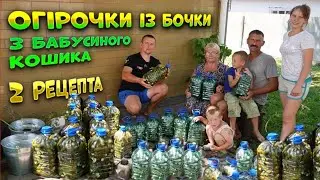 🇺🇦Бізнес на огірках🥒 Домашня технологія вирощування! Найкращий і простий рецепт засоювання