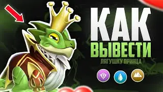 ❤️ КАК ВЫВЕСТИ ПРИНЦА ЛЯГУШКУ ЗА 1 МИНУТУ В ИГРЕ ЛЕГЕНДЫ ДРАКОНОМАНИИ