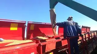 Загрузчик сеялок для Камаза-сельхозника