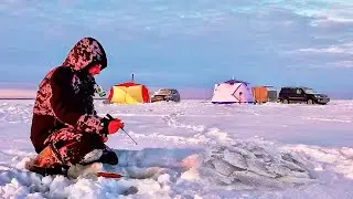 Рыбалка с ночёвкой на льду - Крупный КАРАСЬ на мормышку, здоровые лапти в каждой лунке! Жарим рыбу