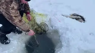 Рыбалка на канун Нового года