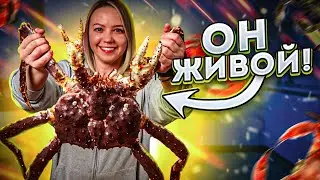 ГИГАНТСКИЙ крабсбургер из огромных камчатских крабов на 4 МЛН подписчиков!