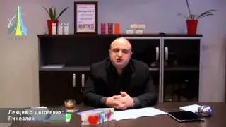 Пептид Пинеалон — биорегулятор головного мозга