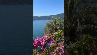 Bella Italia 