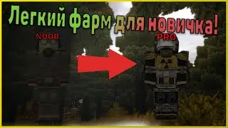 БЫСТРЫЙ ЗАРАБОТОК ДЛЯ НОВИЧКА|STALCRAFT+РОЗЫГРЫШЬ!