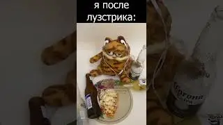 28% винрейт момент 