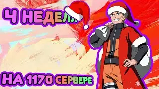 4 НЕДЕЛЯ и ПЕРВЫЙ Новогодний ивент на Новом сервере в Тени Пика | Конфликт Хидзюцу | Вершина Ниндо