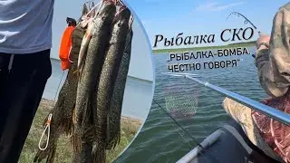 Рыбалка-бомба,честно говоря! /Рыбалка на спиннинг