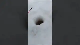 зимняя рыбалка на пелыме
