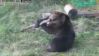 17.09.2023    