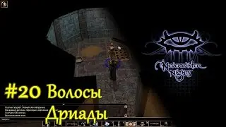 Neverwinter Nights - #20 Волосы Дриады /// Прохождение