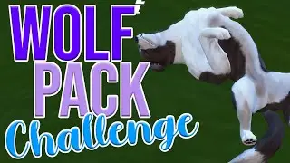 Already Failing | The Wolf Pack Challenge | #1
