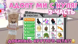 АДОПТ МИ С НУЛЯ! 3-ЧАСТЬ! ДОБИЛАСЬ КРУТОГО ПЕТА?! ШОК! | Adopt Me Roblox