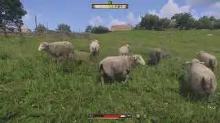 KCD2: Frogs sheep herding quest under 5 mins