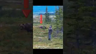 Grizzly Bear Bow Kill – Alaska #GrizzlyHunt#BowHunting#AlaskaHunt#BearHunting