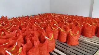 Закупка лука севка Штутгартер Ризен