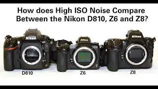How does High ISO Noise Compare Between the Nikon D810, Z6 and Z8?