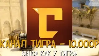 СЕНСА КАК У ТИГРА (Сней) // ЮТУБЕРЫ ИГРАЮТ С БОЛЬШОЙ СЕНСОЙ