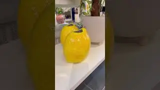 Лимонный 🍋🍋🍋декор в магазине XXXLutz в Германии 