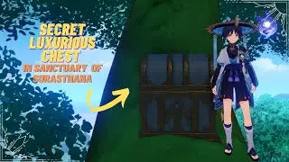 Secret Luxurious Chest of Sanctuary of Surasthana | Hidden Chest Genshin Impact