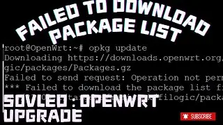 【IT of the day!】  Fixing OpenWRT Upgrade Fail: Manual DNS IP Setup