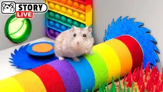 Hamster Survival in the Most Dangerous and Extreme Mazes 🐹 Homura Ham