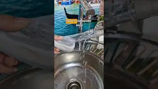 5 февраля 2024 г.