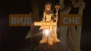 ВИДЕТЬ ВО СНЕ БЛОХ 