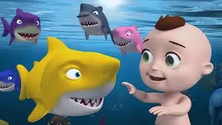 Baby Shark 🦈 Fun Kids’ Song | Baby Berry - Español