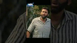 Коля Клетка и Петя Пассал не ищут проблем / 