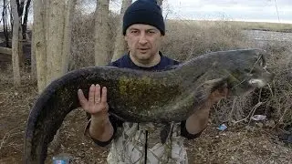 Часть 3 Путешествие на Балхаш подводная охота на мощного сома.