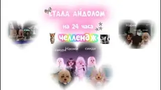 СТАЛА АЙДОЛОМ НА 24 ЧАСА ЧЕЛЛЕНДЖ🩶