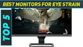 Top 5 Best Monitors For Eye Strain in 2024
