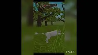 ВИДЕО МОЁ И ИДЕЯ ВРОДЕ МОЯ Я НЕ ВИДЕЛА ПОДОБНЫХ ВИДЕО!!!!!!!считалочка