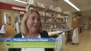 School of Freshwater Sciences, Harbor District Extra | Main Streets