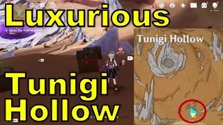 Luxurious Chest At Tunigi Hollow Walkthrough
