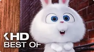 Best of Snowball (2016) The Secret Life of Pets