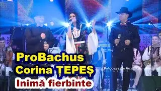 Corina ȚEPEȘ & ProBachus - Inimă Fierbinte (Potcoava de Aur 2014)