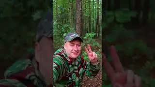 Загляни Сам🐺🤟🫠 #Лето #песняхит