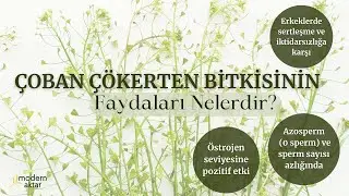 MODERN AKTAR ÇOBAN ÇÖKERTEN|FAYDALARI NELERDİR?