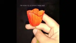 Я хочу чтобы ты улыбалась ❣️