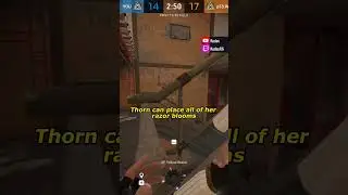 Thorn 1.5x is DUMB | 