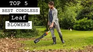 Top 5  best Cordless Leaf Blowers 2023